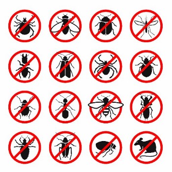 Pest Control Maintenance Services NY