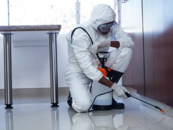 Residential Pest Control Services in NY