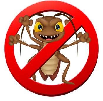 Cockroach Pest Control Services NY