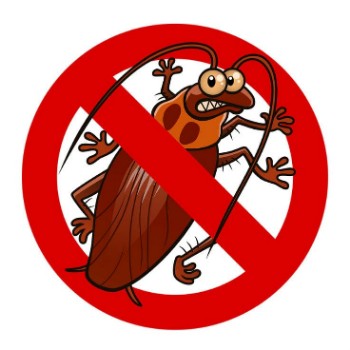 Cockroach Pest Control Services NY